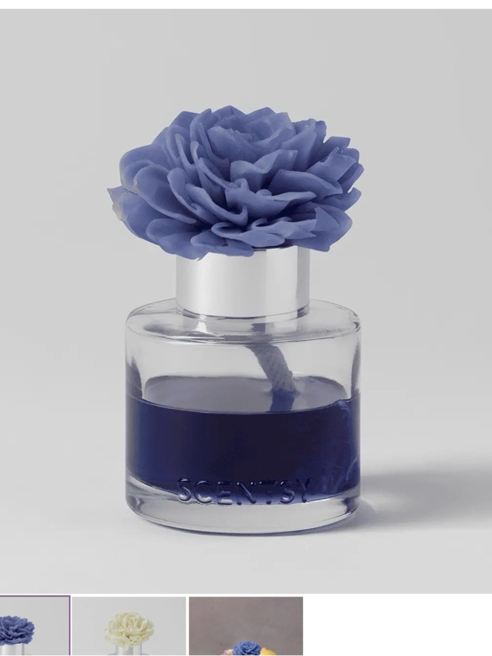 Scentsy  Floral Reed Diffuser Bottle